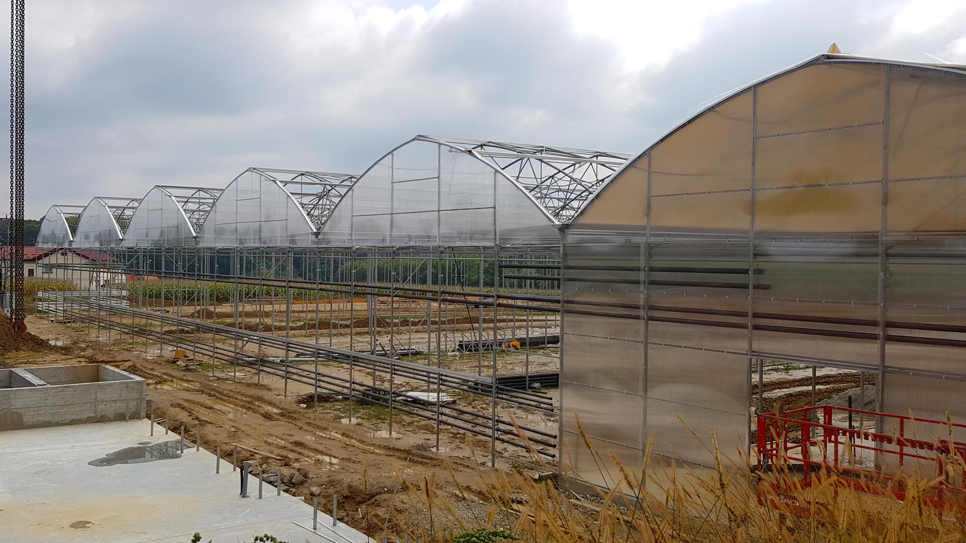 Mehrschiffiges professionelles Foliengewächshaus